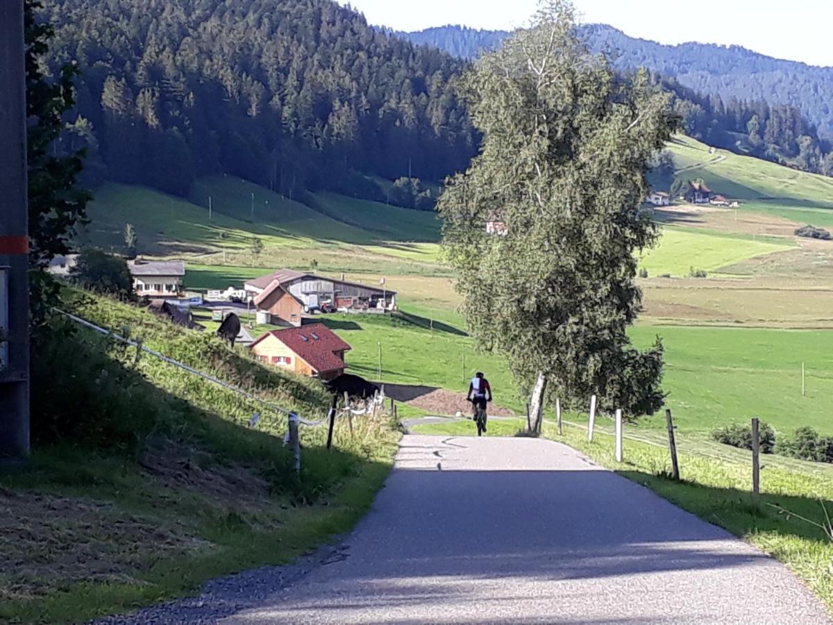 Gaestezimmer Im Dorfzentrum Rothenthurm Kültér fotó